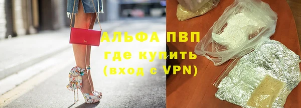 прущие грибы Белоозёрский