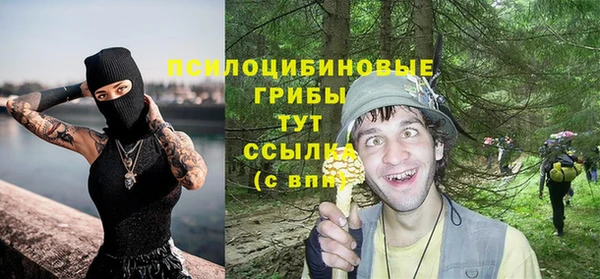 дмт Беломорск
