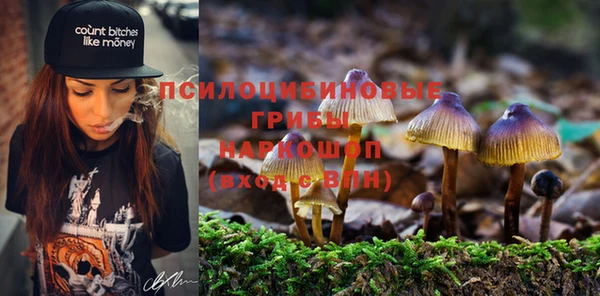 дмт Беломорск