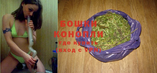 прущие грибы Белоозёрский