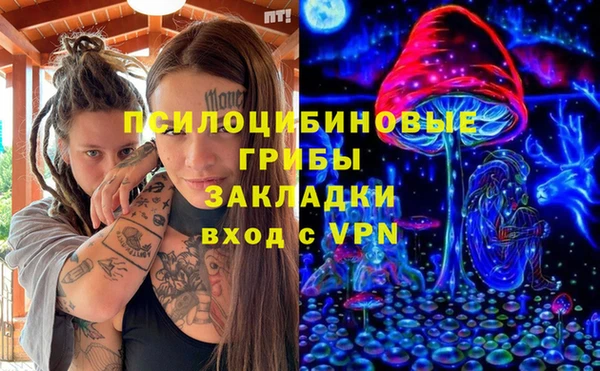 спайс Белокуриха