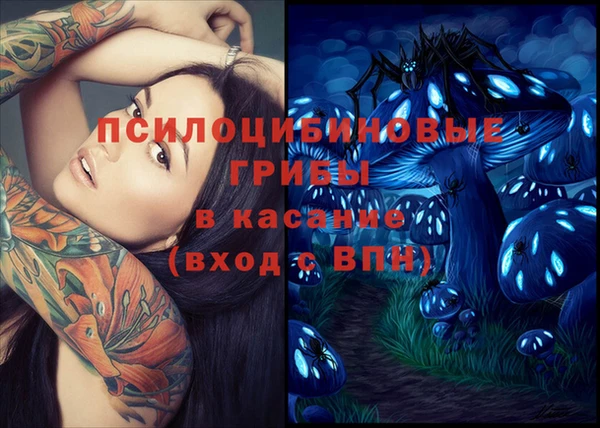 прущие грибы Белоозёрский