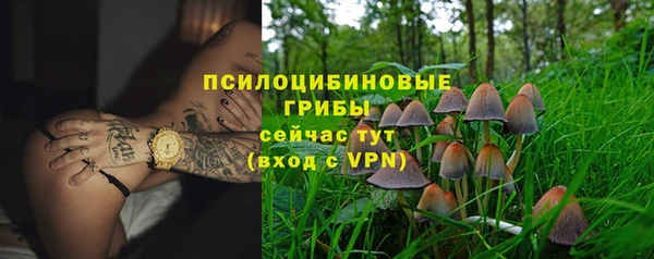 прущие грибы Белоозёрский