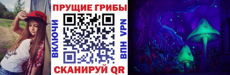 Галлюциногенные грибы Magic Shrooms  где можно купить наркотик  Южа 